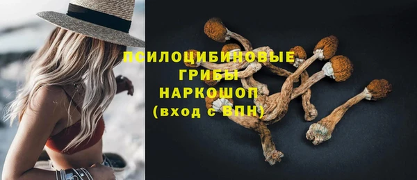 прущие крисы Бородино