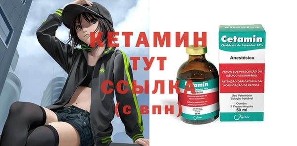 прущие крисы Бородино