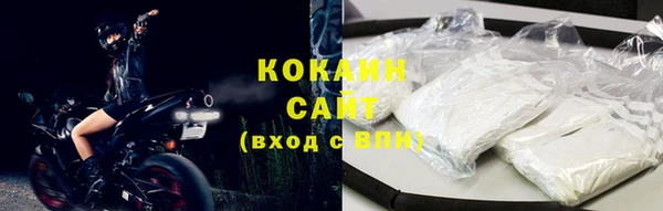 прущие крисы Бородино