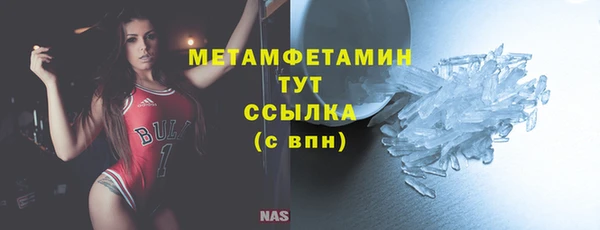 прущие крисы Бородино