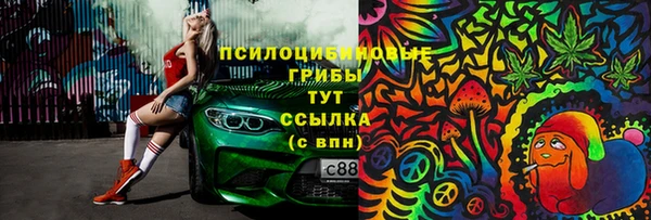 прущие крисы Бородино