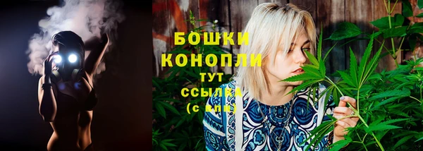 прущие крисы Бородино