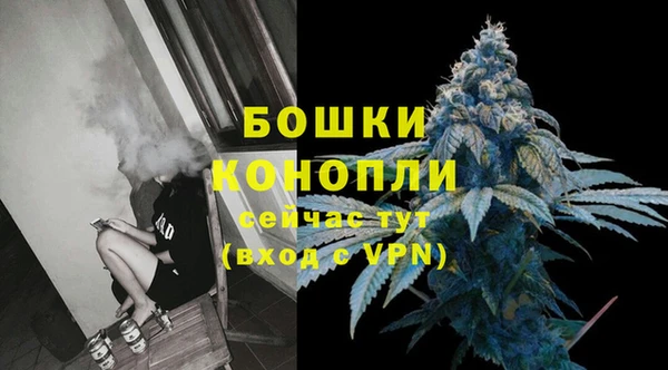 прущие крисы Бородино