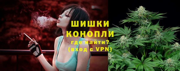 прущие крисы Бородино