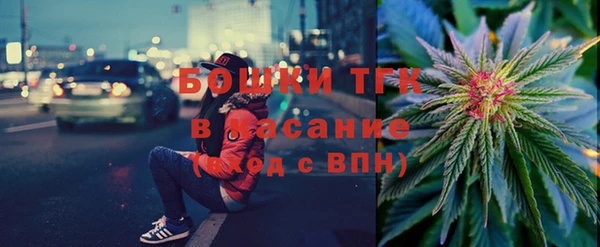прущие крисы Бородино