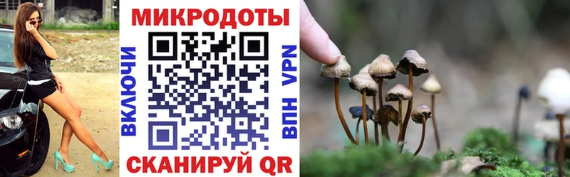Купить закладки  Горячий Ключ  Псилоцибиновые грибы MAGIC MUSHROOMS 